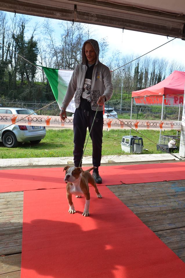 Tappa 1 1 (112)