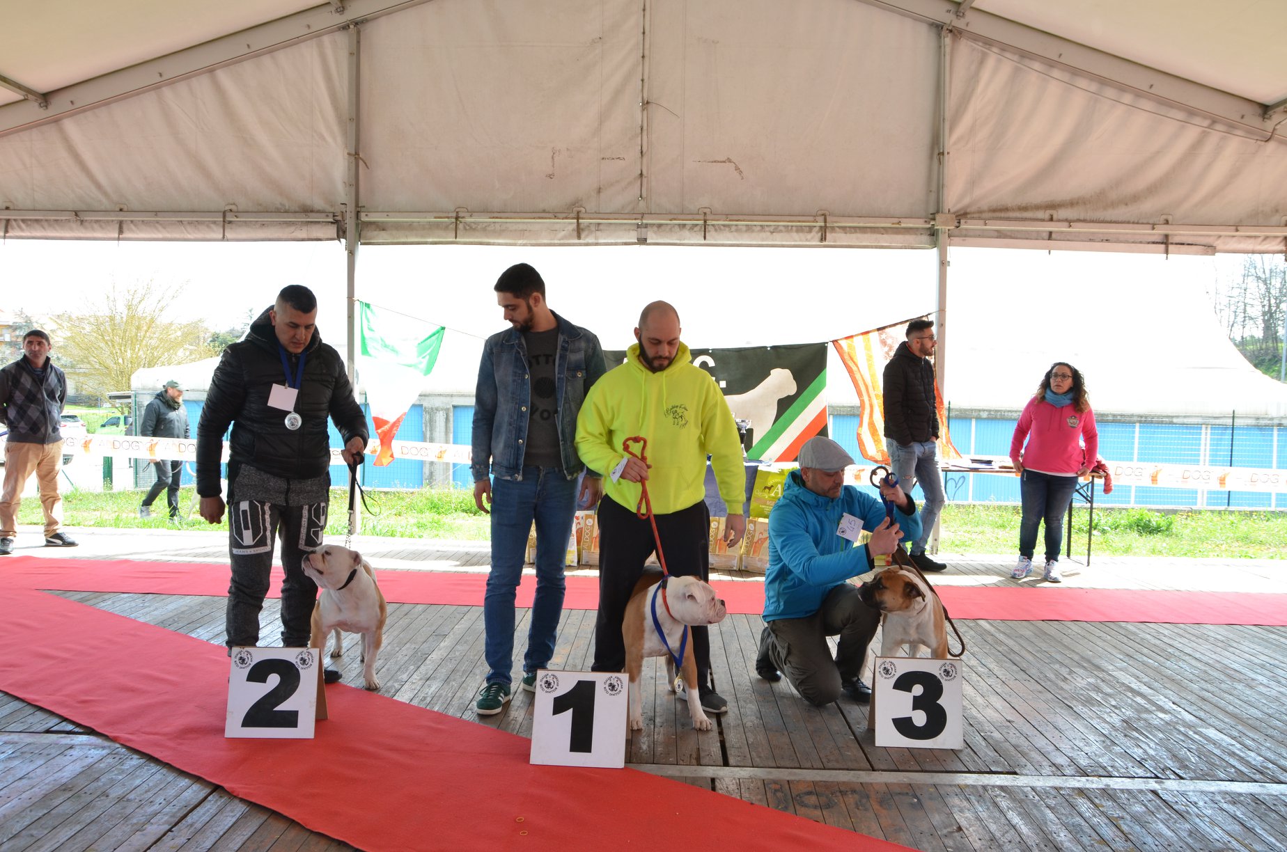 Tappa 1 1 (45)