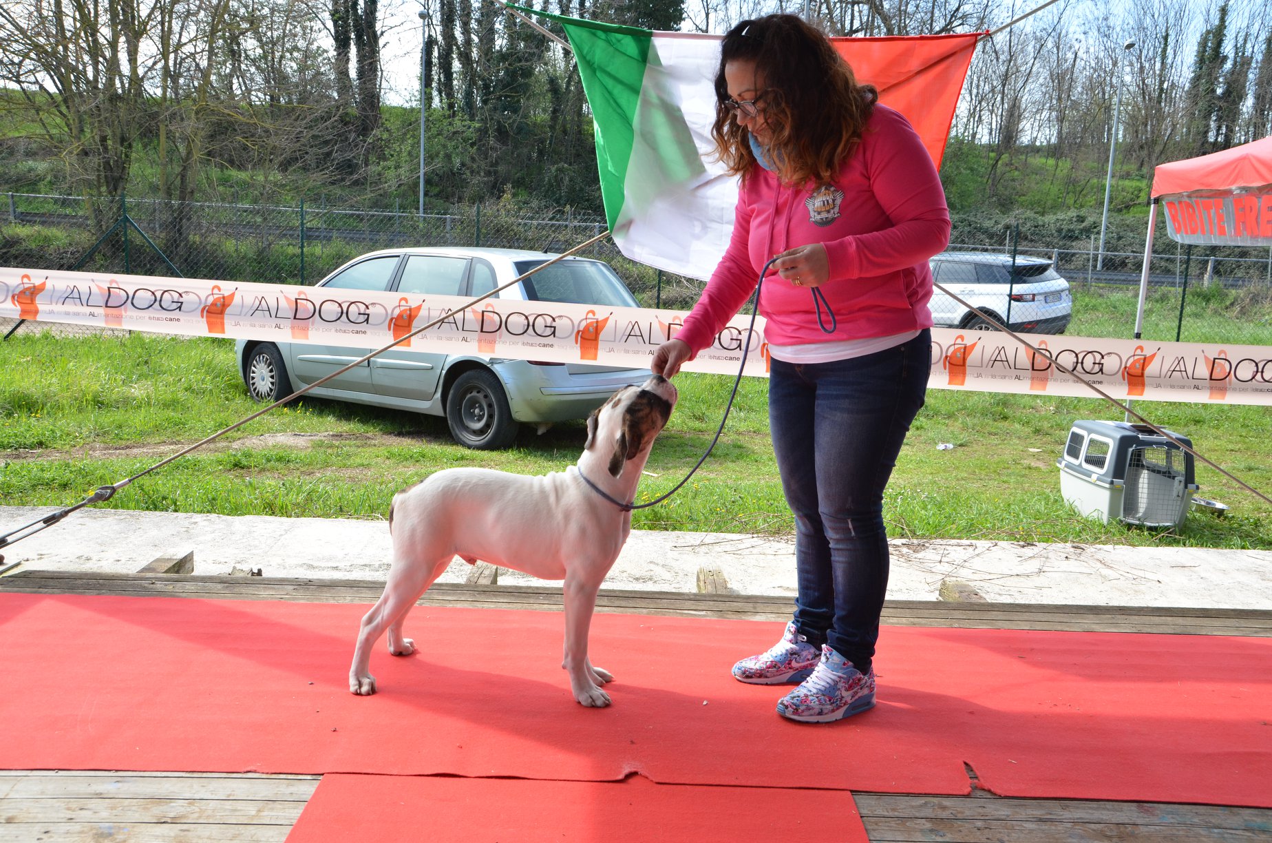 Tappa 1 1 (9)